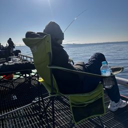 カタクチイワシ