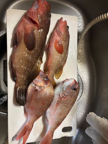 田之浦港（倉敷）