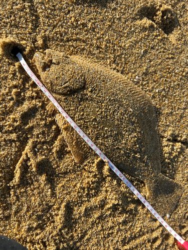 志賀島赤灯台東波止