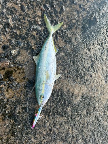 塩屋海岸（石川）