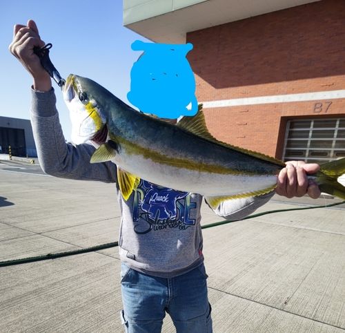 小名浜港市場前