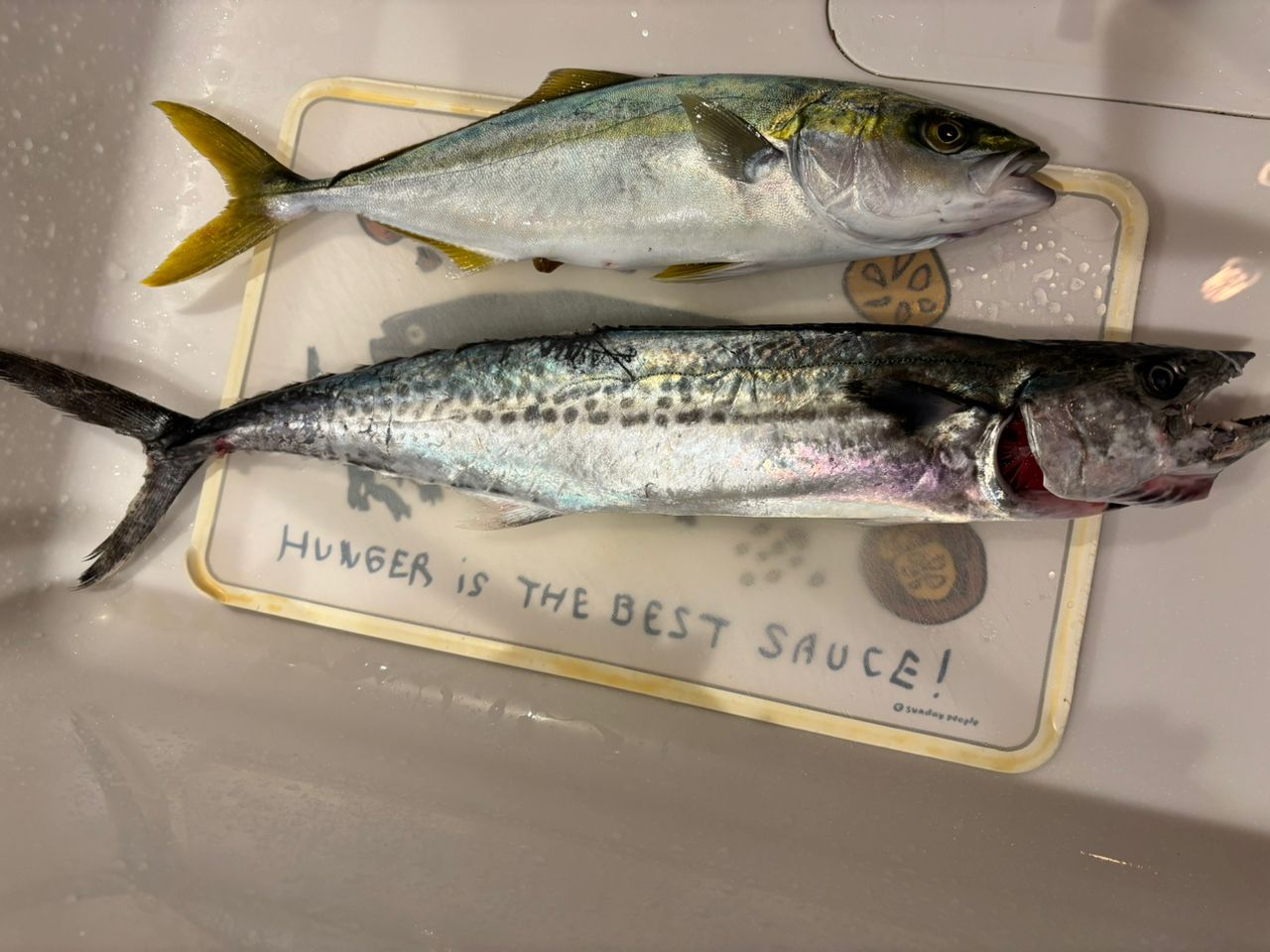 SHIMANO 20ルナミス S90MLの最安値・インプレ・釣果 | 本音の口コミが