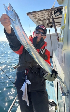 タチウオの釣果