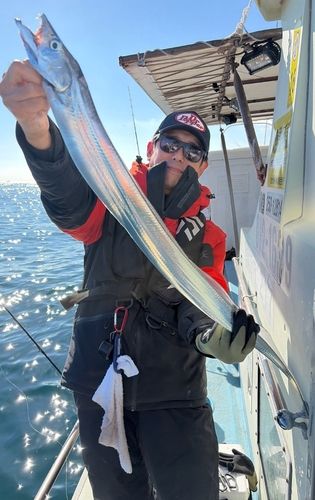 タチウオの釣果