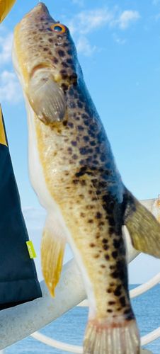 日和山浜海水浴場