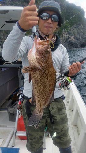 オオモンハタの釣果