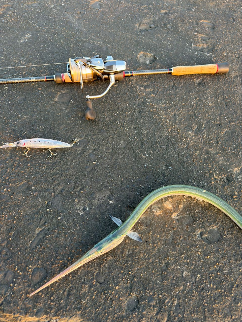 【Ari】APIA アピア フージン AD 104ML ハイローラー アピア Foojin AD ハイローラー(HIGH ROLLER) 104ML Foojin'AD | 激安