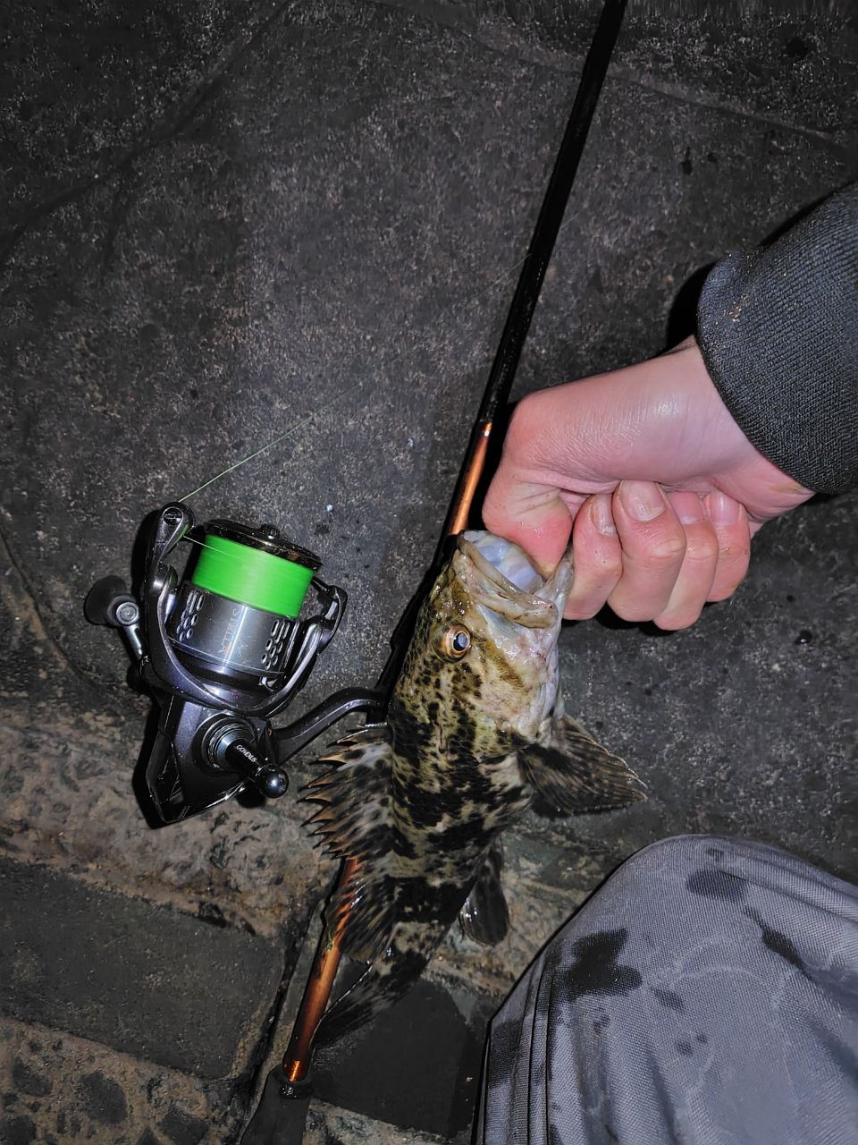 SHIMANO 19ソアレ BB S76UL-Sの最安値・インプレ・釣果 | 本音の口コミ