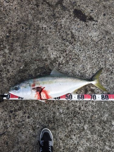 警固屋中学校前