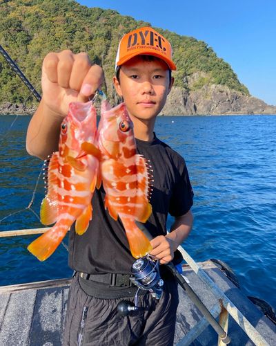 アカハタの釣果