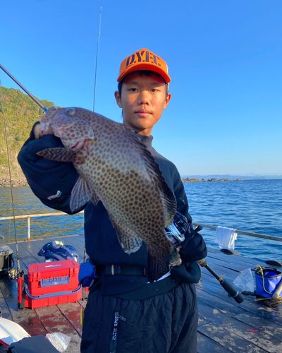 オオモンハタの釣果