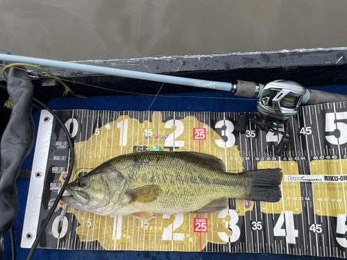 小野川（茨城）