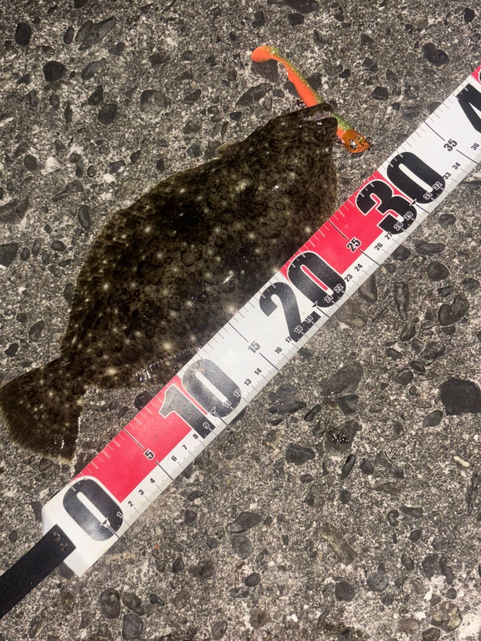 シマノ 23 ネッサリミテッド NESSA LIMITED S1010M+ Shimano 23 Nessa Limited S1010M+ – JDM TACKLE HEAVEN