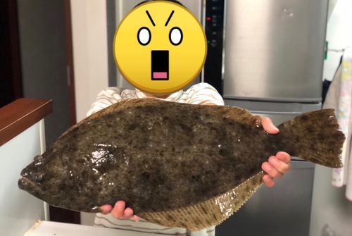 福岡市海づり公園