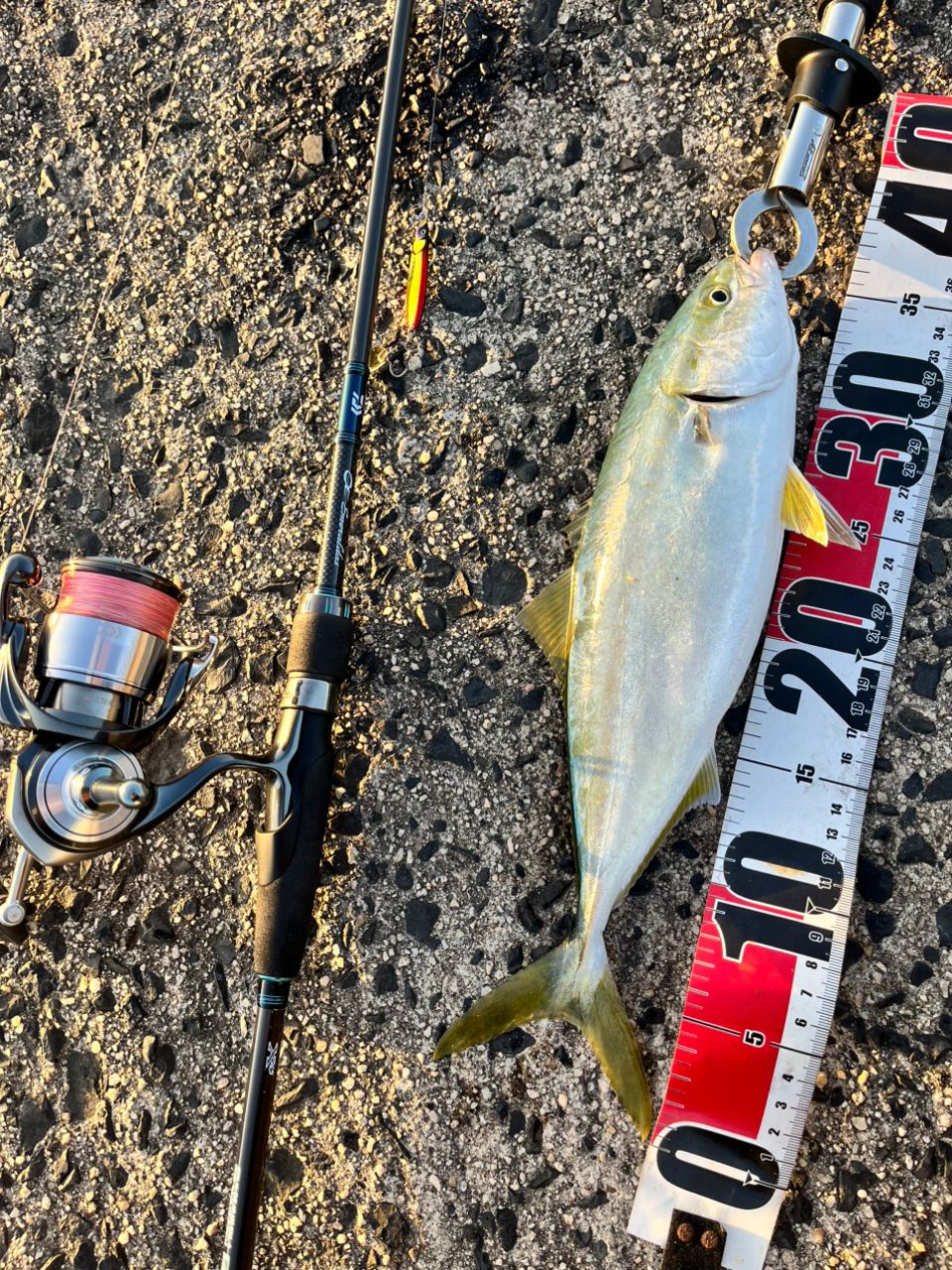 DAIWA 20エメラルダス AIR AGS 83MLの最安値・インプレ・釣果 | 本音の