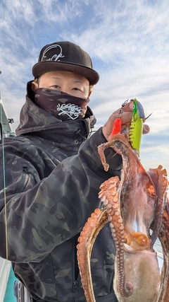 タコの釣果