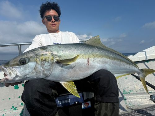 ヒラマサの釣果