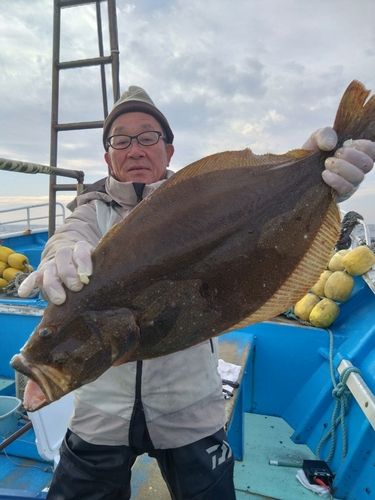 ヒラメの釣果