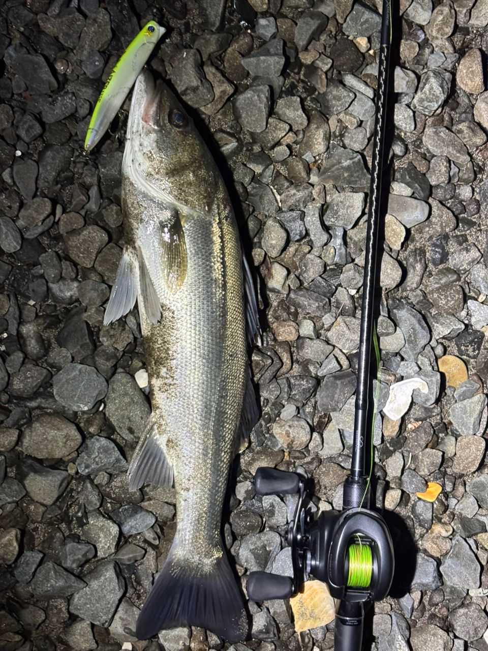 SHIMANO 22エクスセンス ∞ (インフィニティ) B86MLの最安値・インプレ