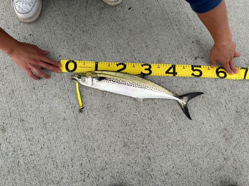 南芦屋浜ベランダ