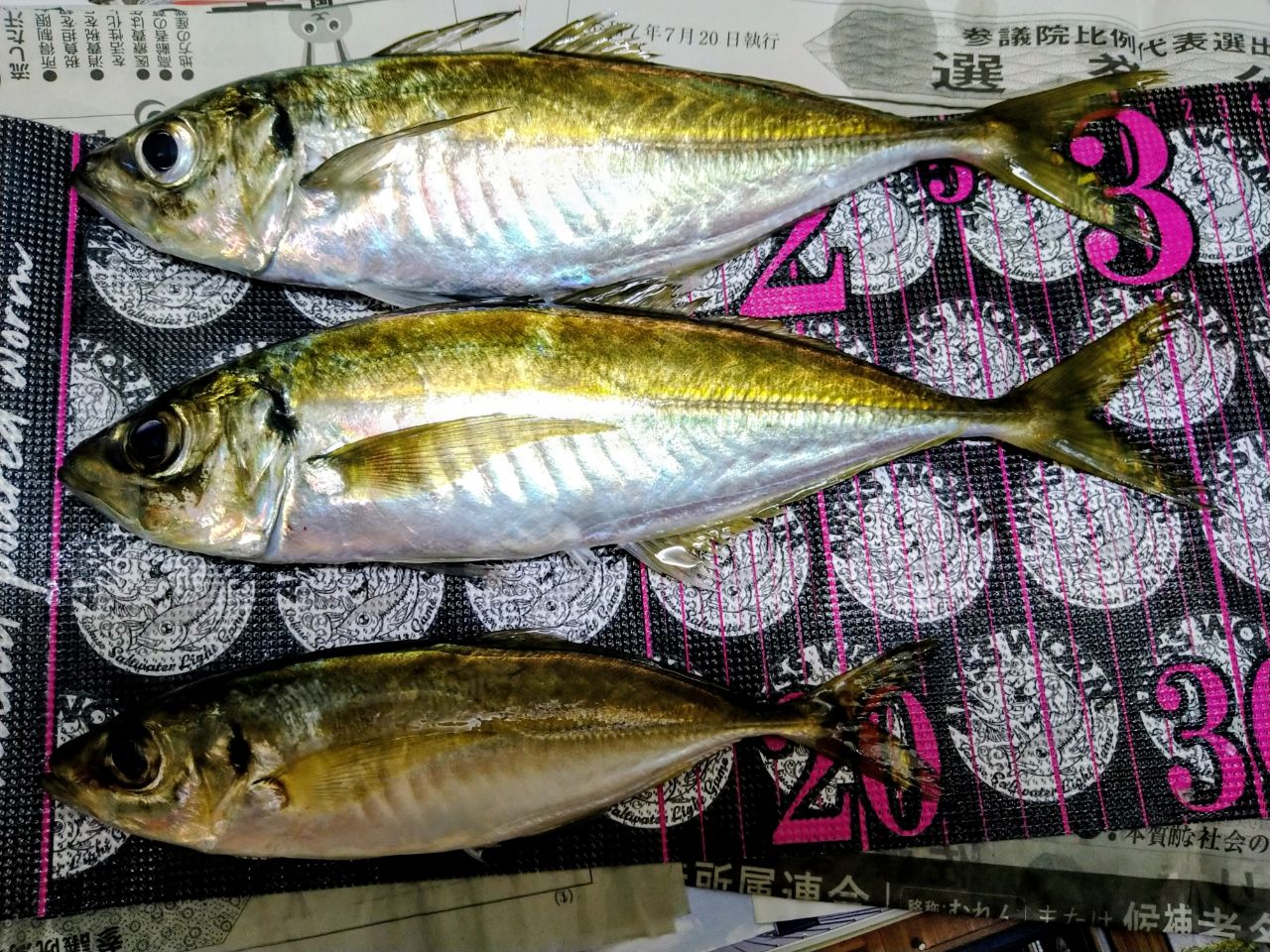 SHIMANO 22ソアレ SS S86ML-Tの最安値・インプレ・釣果 | 本音の口コミ