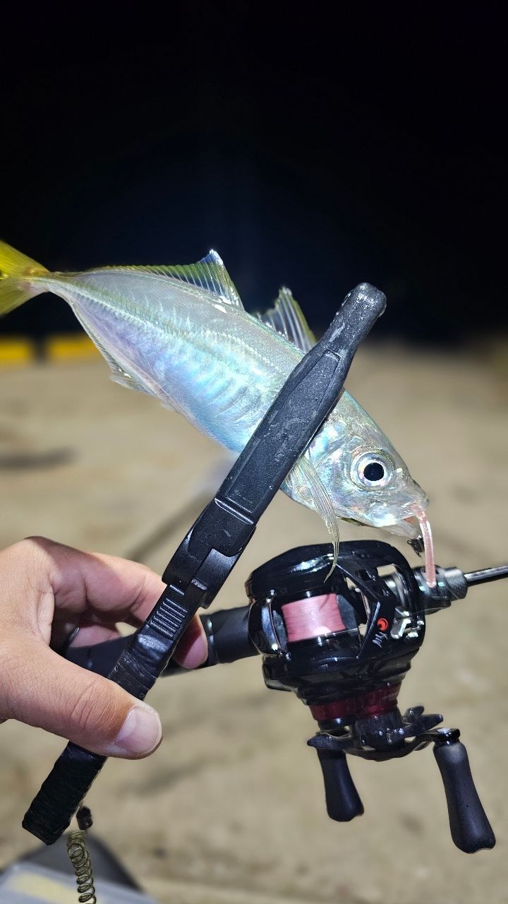 AbuGarcia ソルティーステージ プロトタイプ ベイトフィネスの最安値