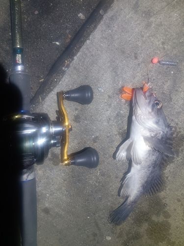 キラキラ公園（苫小牧西港）