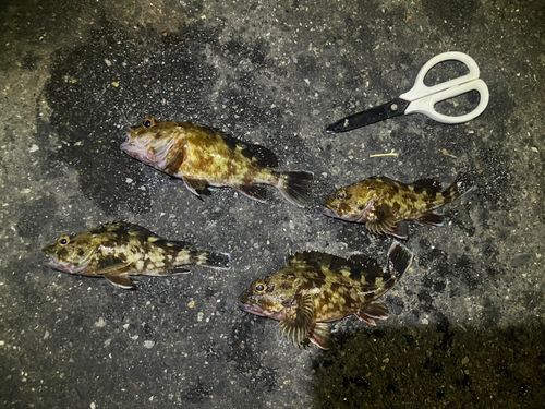 東京湾（アクアライン〜富津）