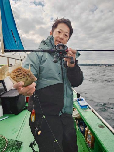 カワハギの釣果