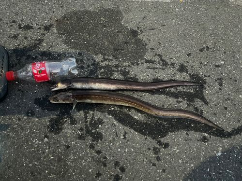 東京湾（アクアライン〜富津）