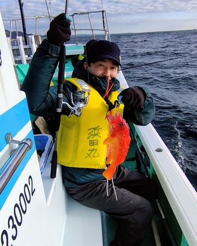 アカハタの釣果