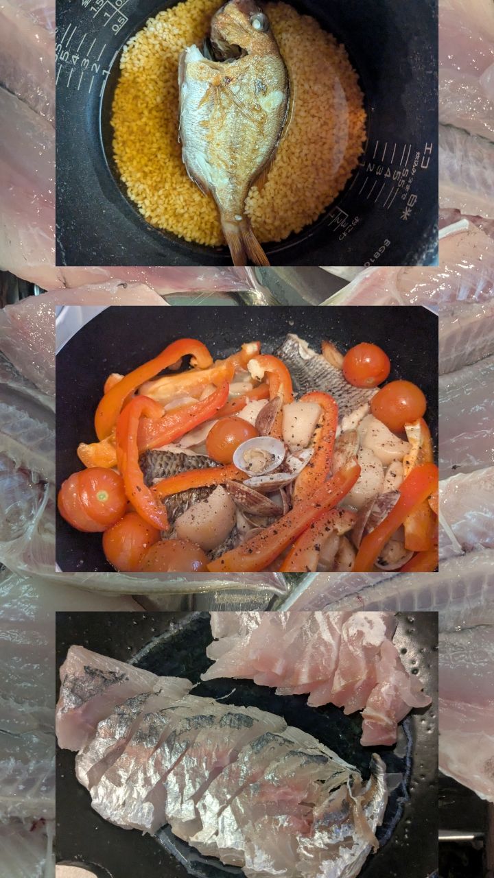 アングラー0139596アキャリさんの釣果 3枚目の画像