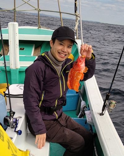 アカハタの釣果