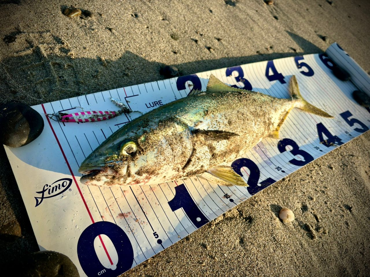 Jackson サーフトライブ STHS-1082MLの最安値・インプレ・釣果 | 本音