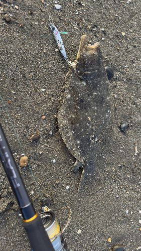 新舞子海岸（富津）