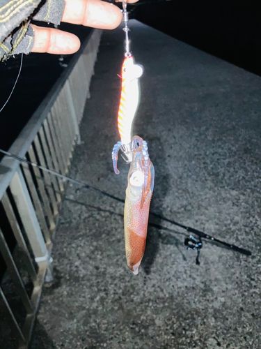 千葉港中央埠頭