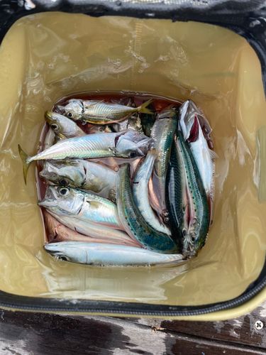 小名浜港アクアマリンふくしま周辺