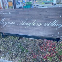 レインボートラウト