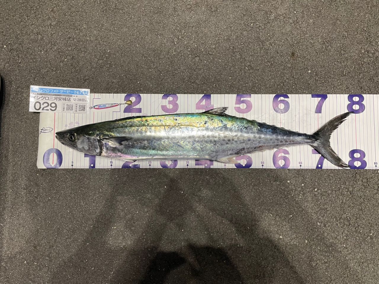 TENRYU ジグザム ドラッグフォース JDF621S-2/3の最安値・インプレ