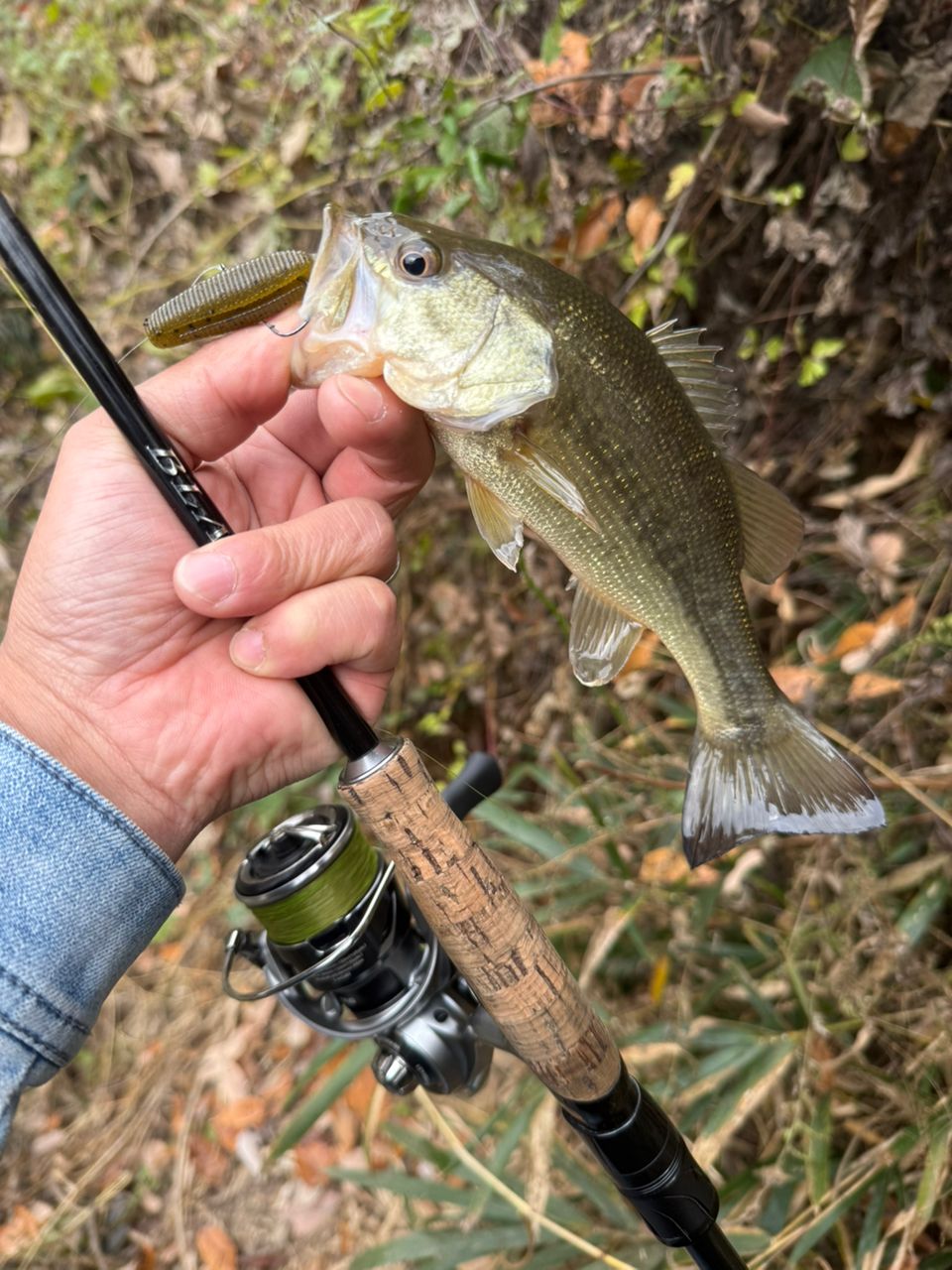 DAIWA 21ブレイゾン S63UL-2・STの最安値・インプレ・釣果 | 本音の