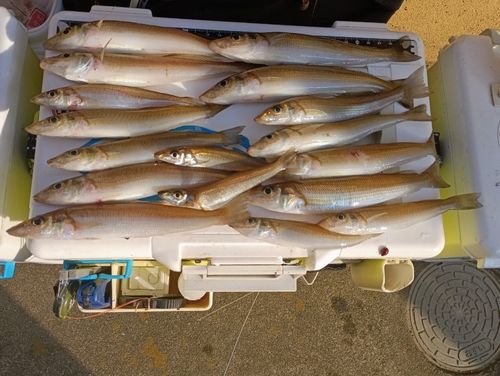 サザンビーチ付近