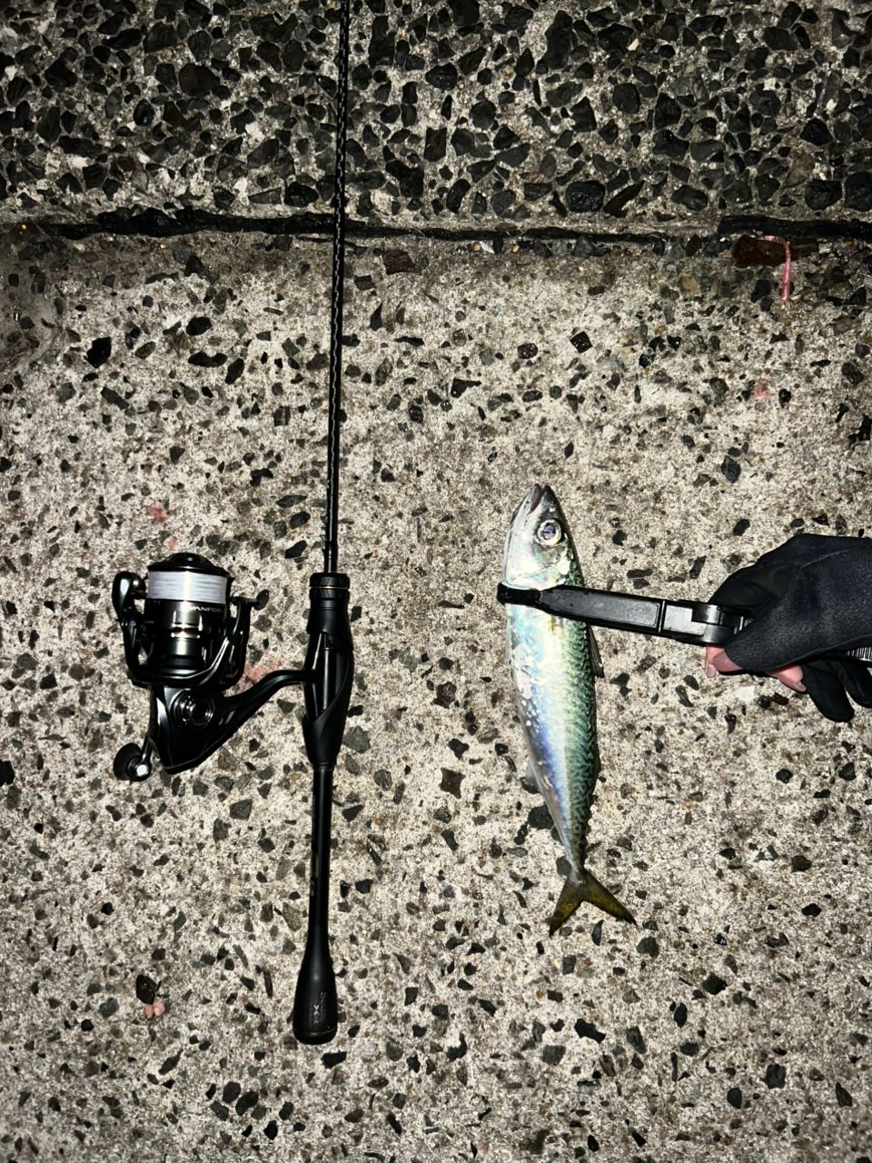 ソアレXR S60SUL-S マズメ ソアレXR S60SUL-S マズメ 2021年秋の新作！シマノ ソアレXR S60SUL-Sの実