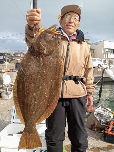 ヒラメの釣果