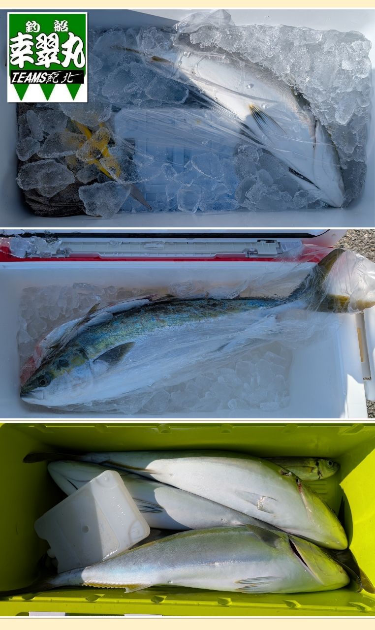 幸翠丸さんの釣果 1枚目の画像