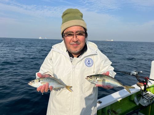 マアジの釣果