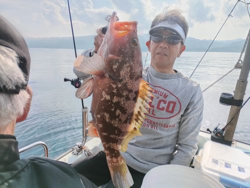 キジハタの釣果