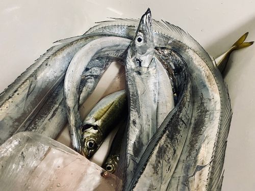 東京湾（アクアライン〜富津）