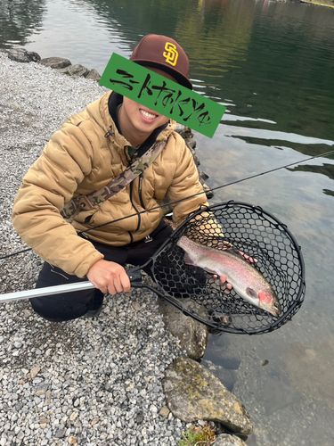 ニジマスの釣果