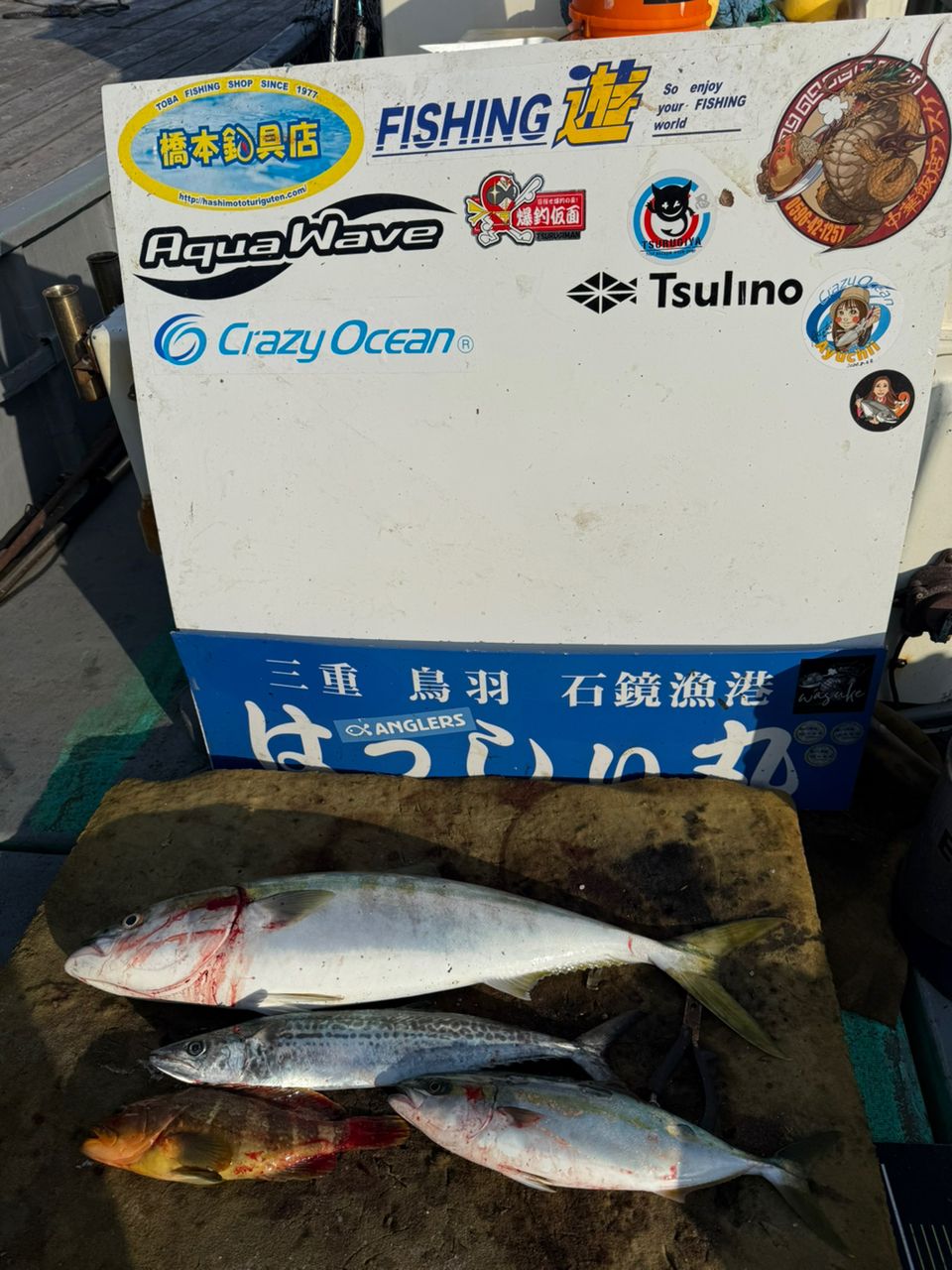 はっしぃ丸さんの釣果 2枚目の画像