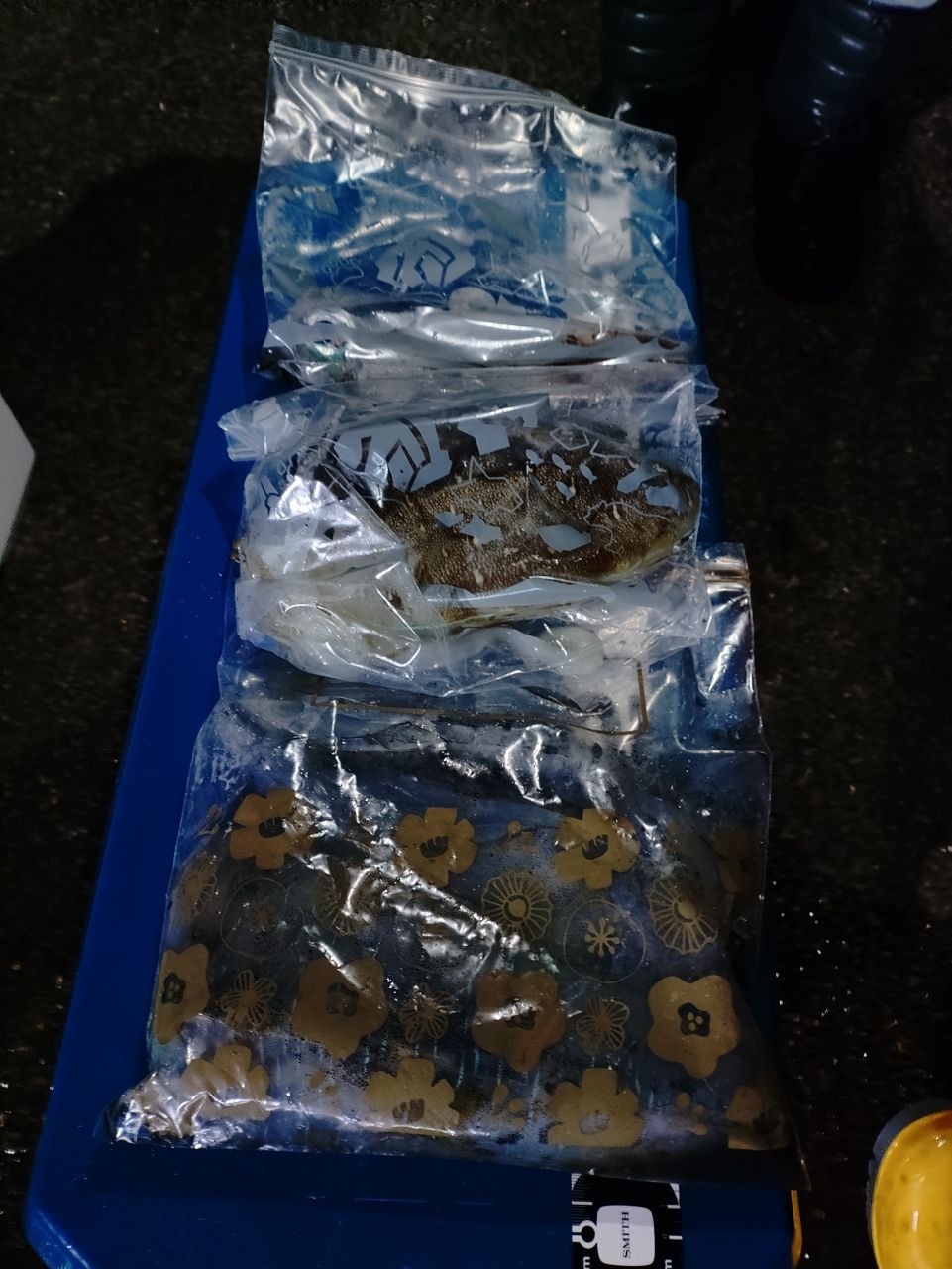 ヒサマルさんの釣果 2枚目の画像